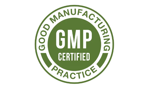 GMP certification 